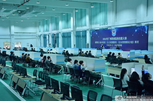 2024年廣西職業院校技能大賽高職組 人力資源服務 賽項比賽舉行