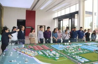 港口區 不忘初心抓黨建 服務企業助產業