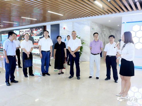 自治區人社廳唐云舒一行到柳州市調研人力資源服務產業園工作