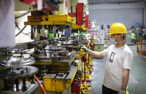 南方觀察丨中山為什么要重視人力資源服務業