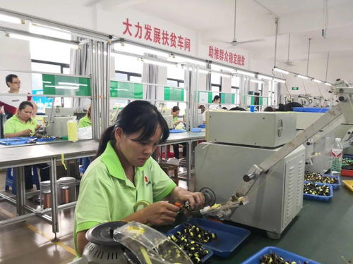 廣西自治區人力資源社會保障廳 就業扶貧 拔窮根