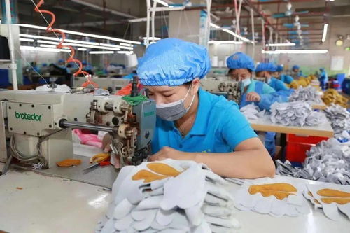 聚焦 穩就業保就業 重點工作目標,廣西人社2020年就業工作成效顯著