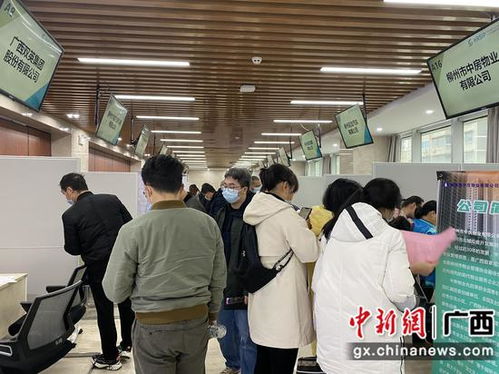 柳州舉辦青年就業服務季專項行動 助力青年順利就業